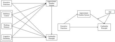 Executive Function and young children's Cardinality Principle: the mediating role of the Approximate Number System and the moderating role of age